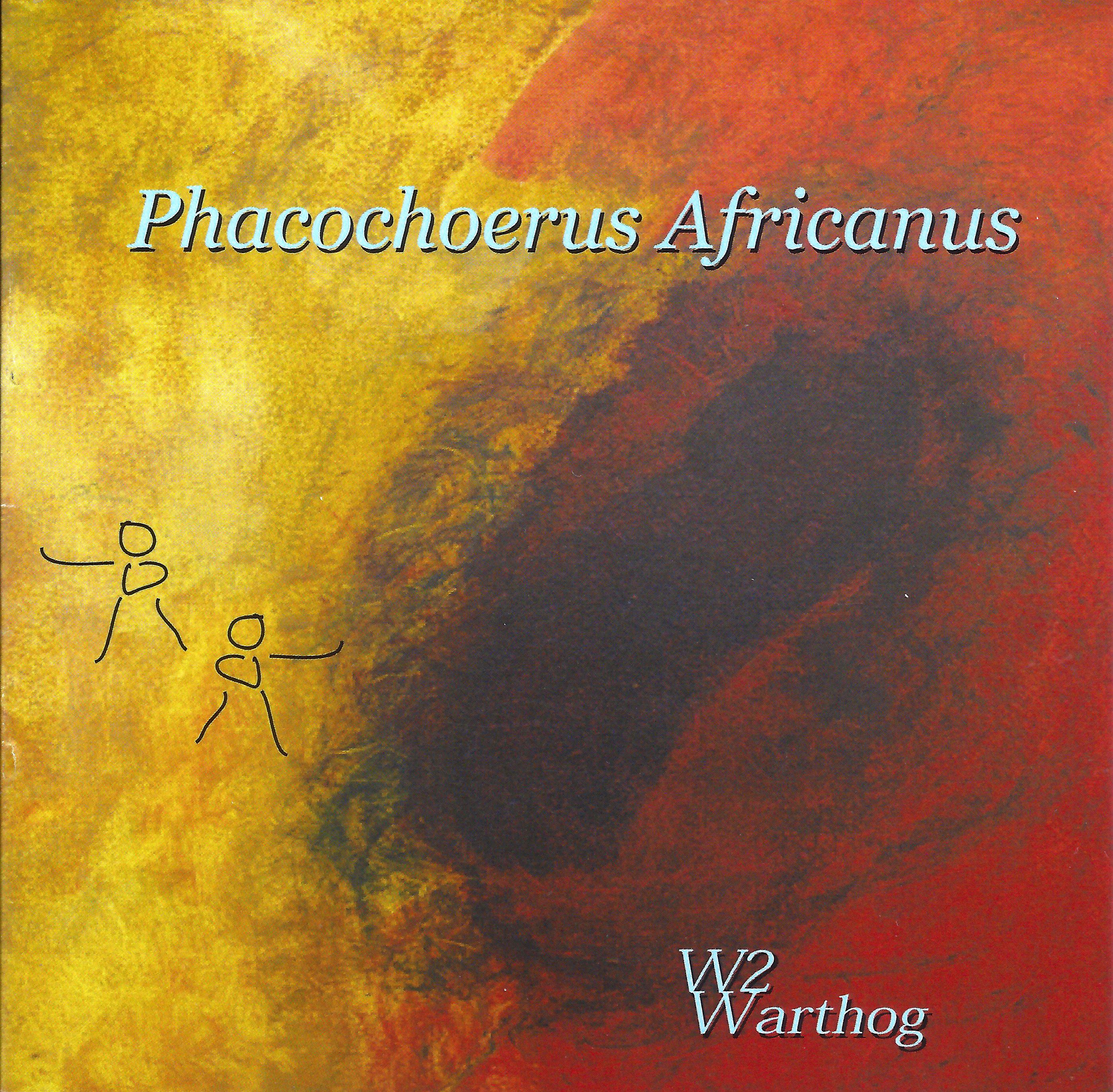 Phacochoerus Africanus